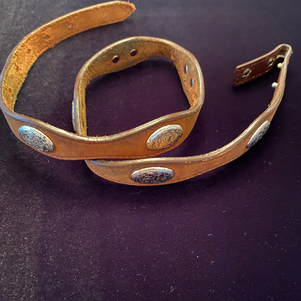 Brown Leather Belt with 7 Silver Accents
